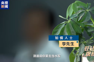 资质造假、照着AI回应咨询！央视曝光高考志愿填报咨询“陷阱”