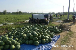 莫把群众求助当作负面舆情（说事儿）