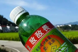 厦门湖里区一公司被曝用敌敌畏给多家餐厅消杀，为规避检查将敌敌畏灌入矿泉水瓶……当地最新通报
