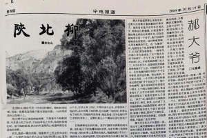知名作家称作品遭人抄袭，涉事刊物回应
